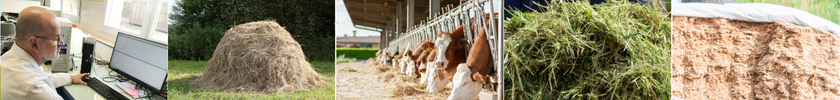 Analyses aliments du bétail